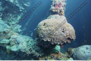 Photo Reference of Shipwreck Sudan Undersea 0007